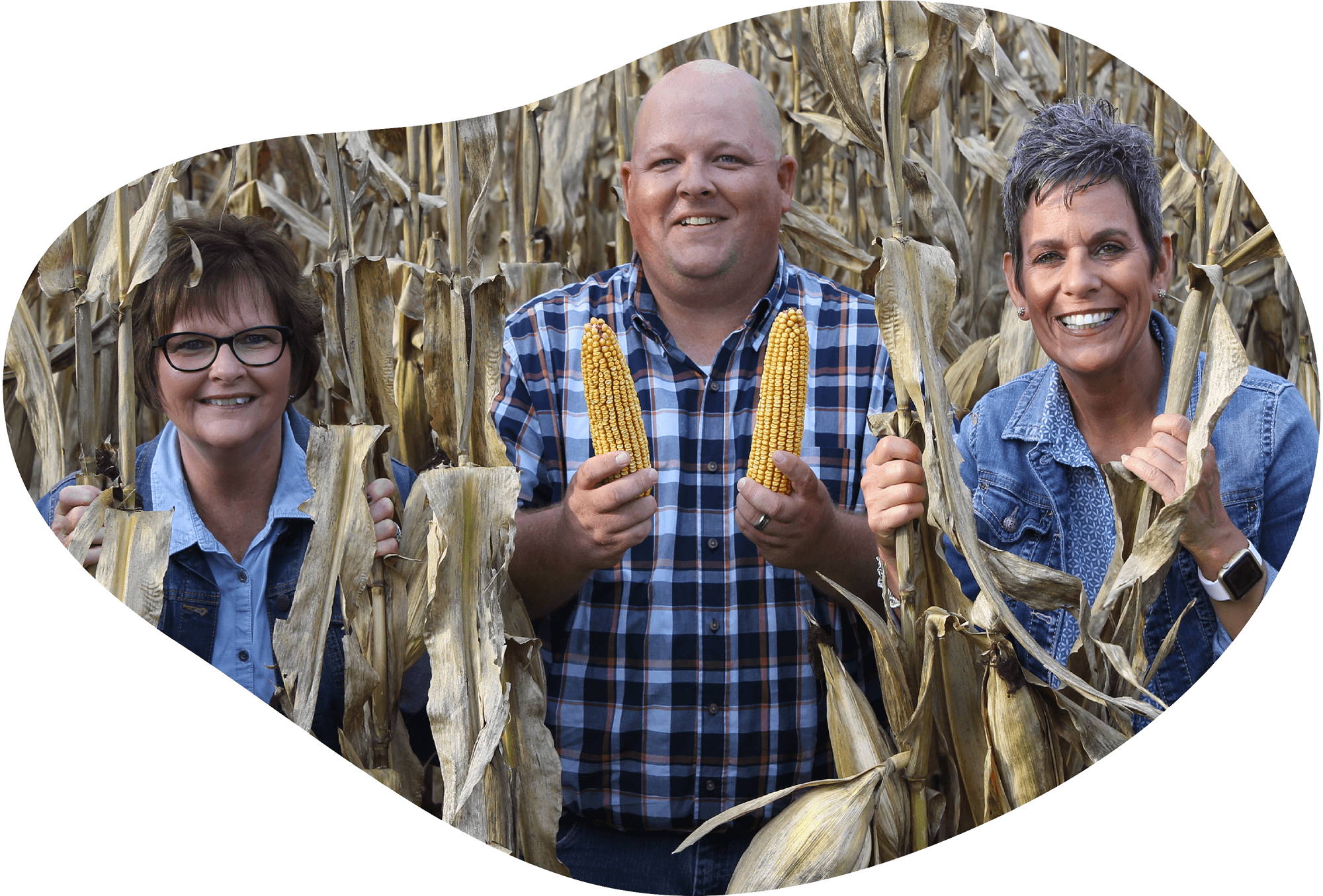 Staff in Corn Field